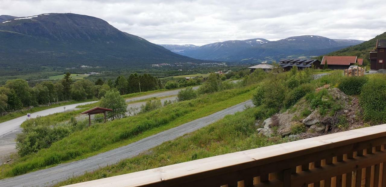 Oppdal Alpintun Stolen Ski In - Ski Out Екстер'єр фото